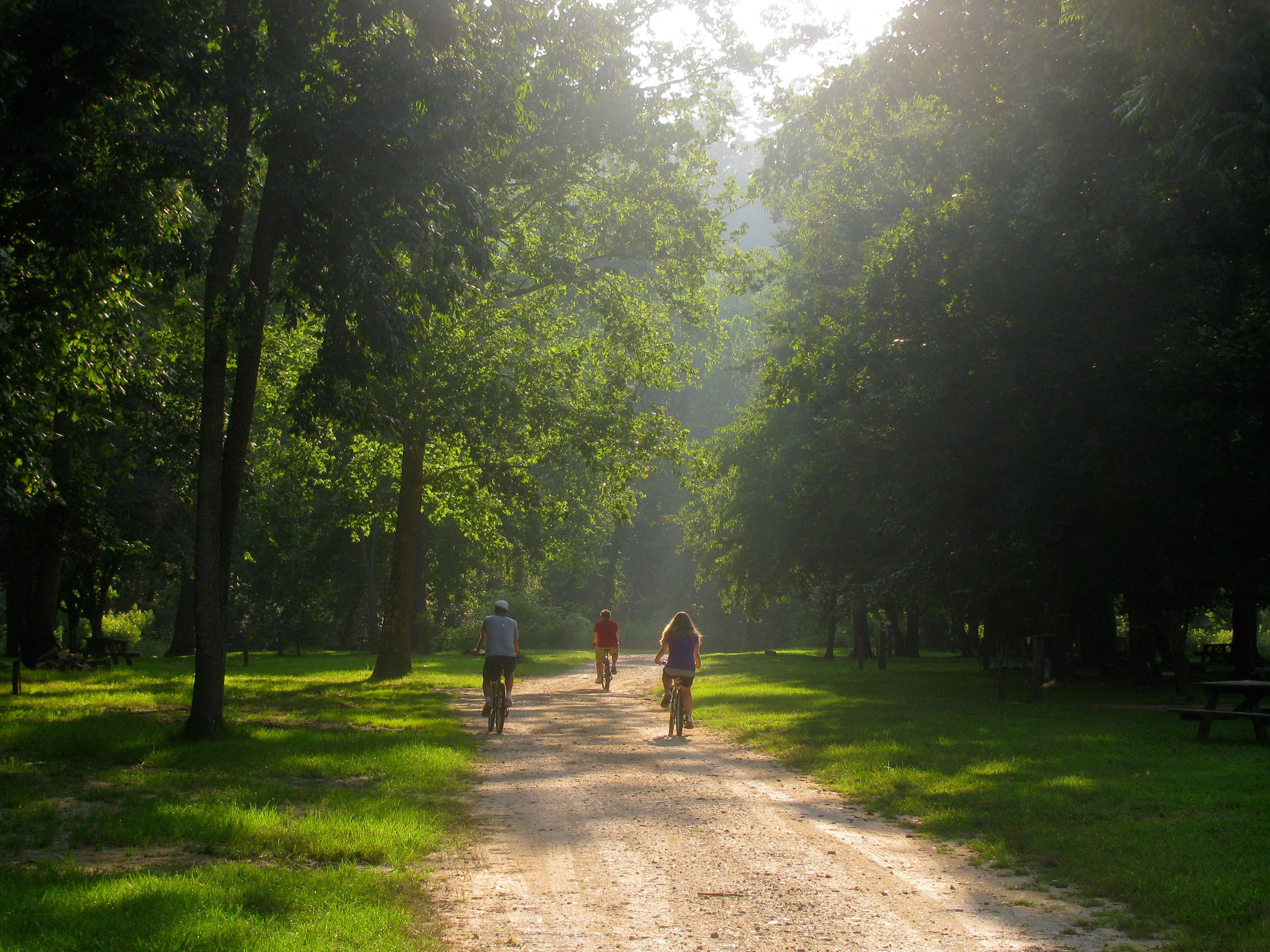 Bicycling at Leatherwood