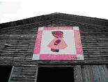 Barn Quilt Trail - Dutch Girl