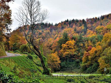 Wilkes Fall Scenic Drive