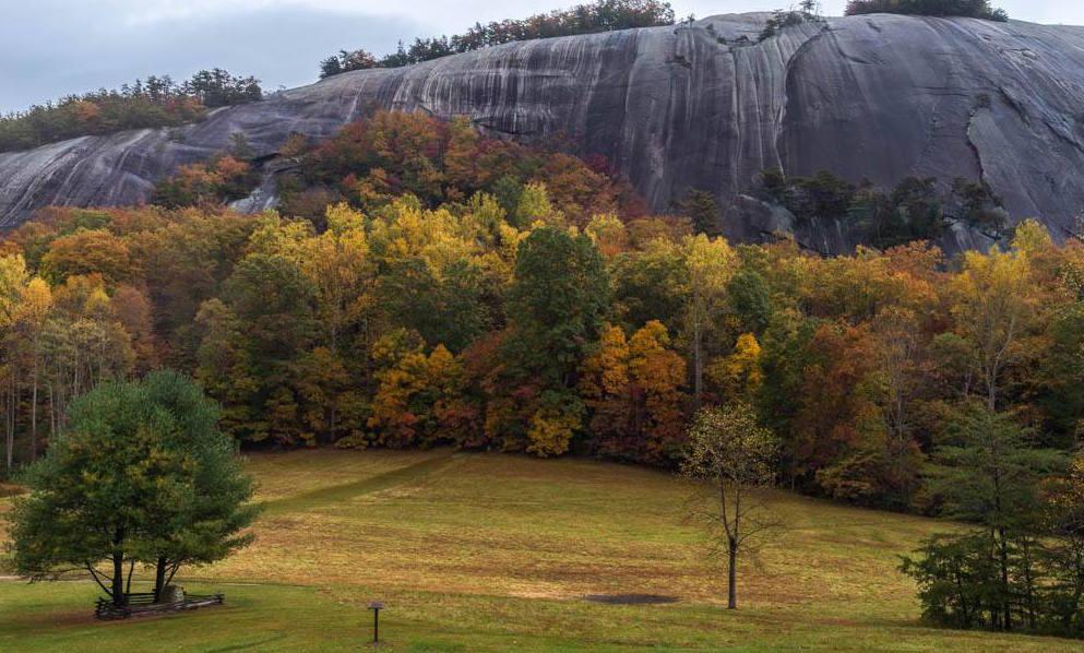 Fall Foliage 3