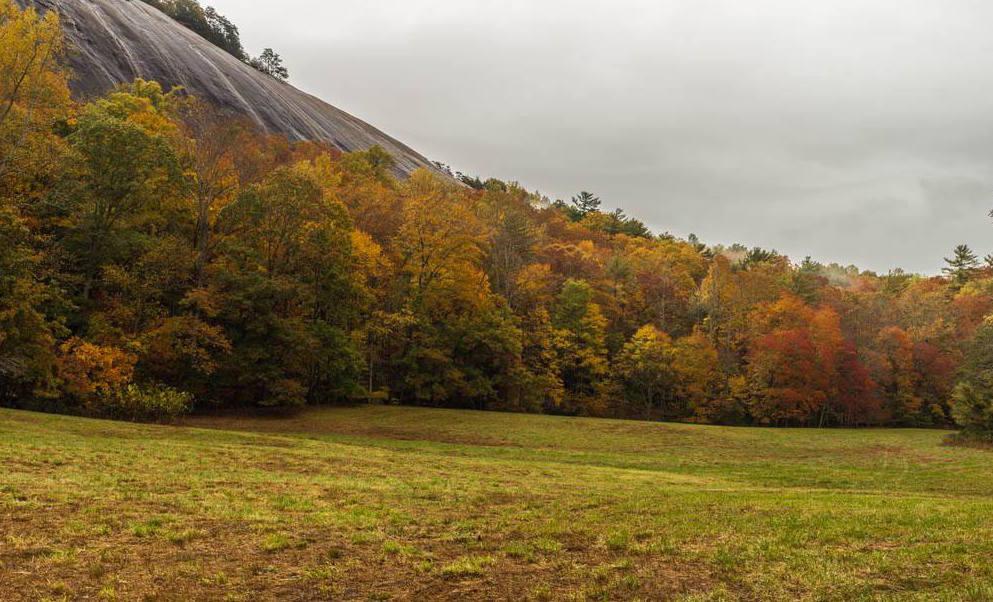 Fall Foliage - Stone Mountain