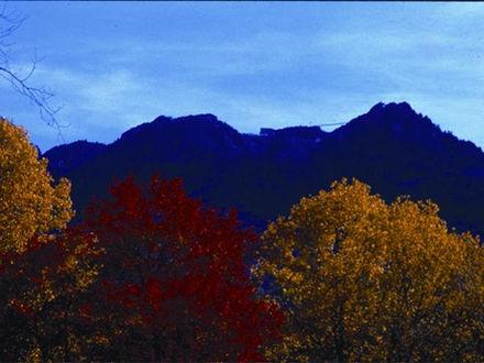 Grandfather Mountain