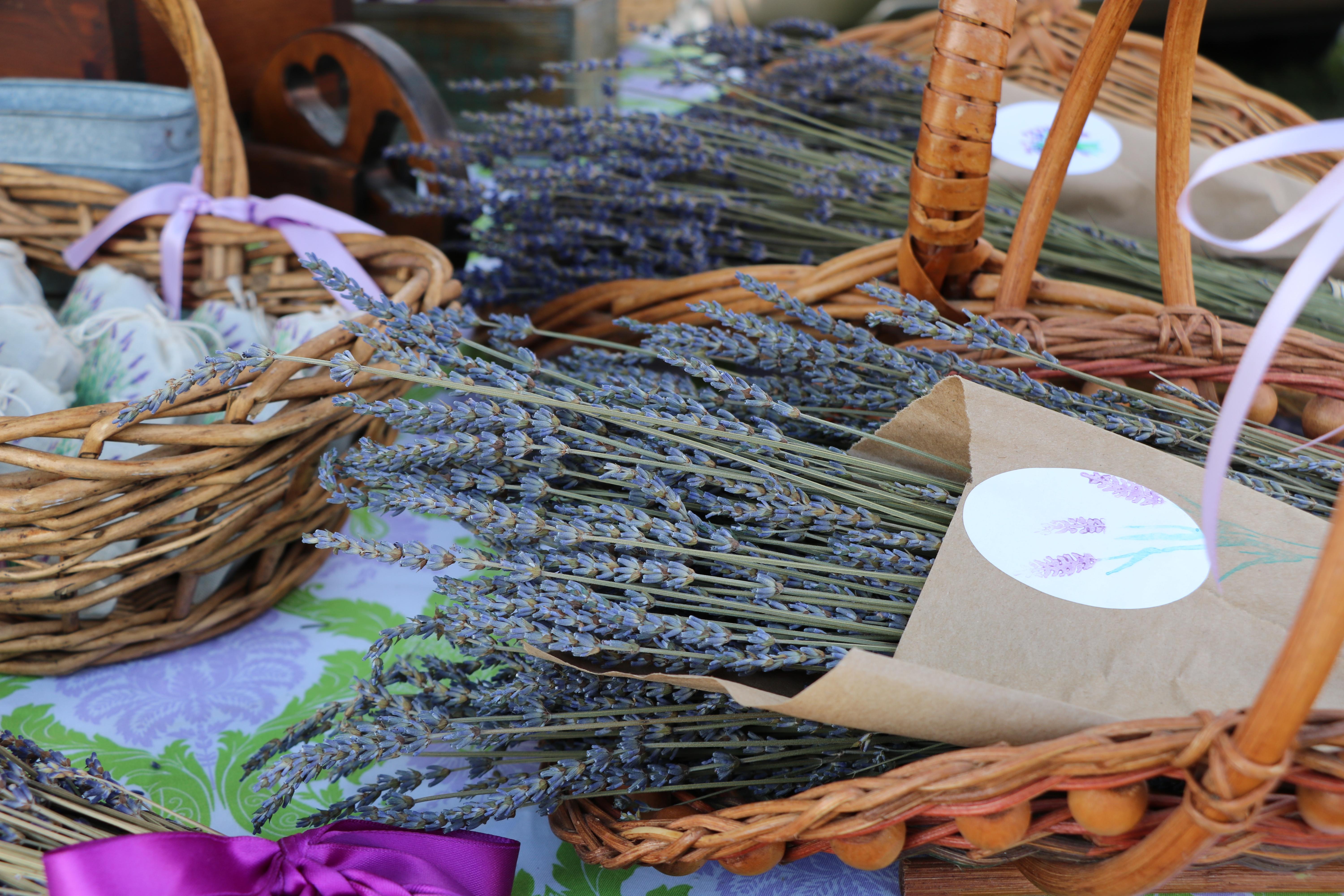 Wilkesboro Open Air Market