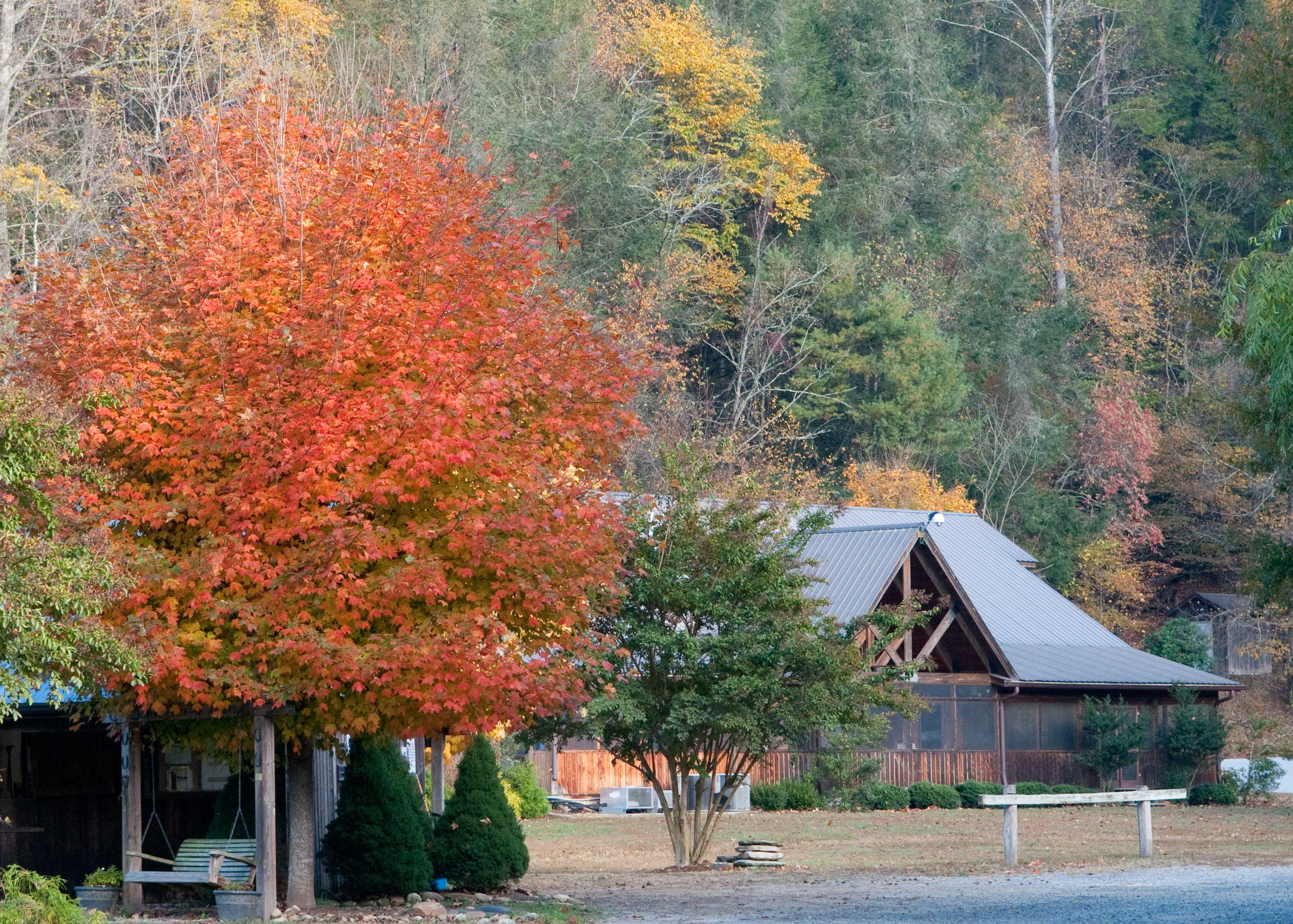 Leatherwood Fall Scene 1