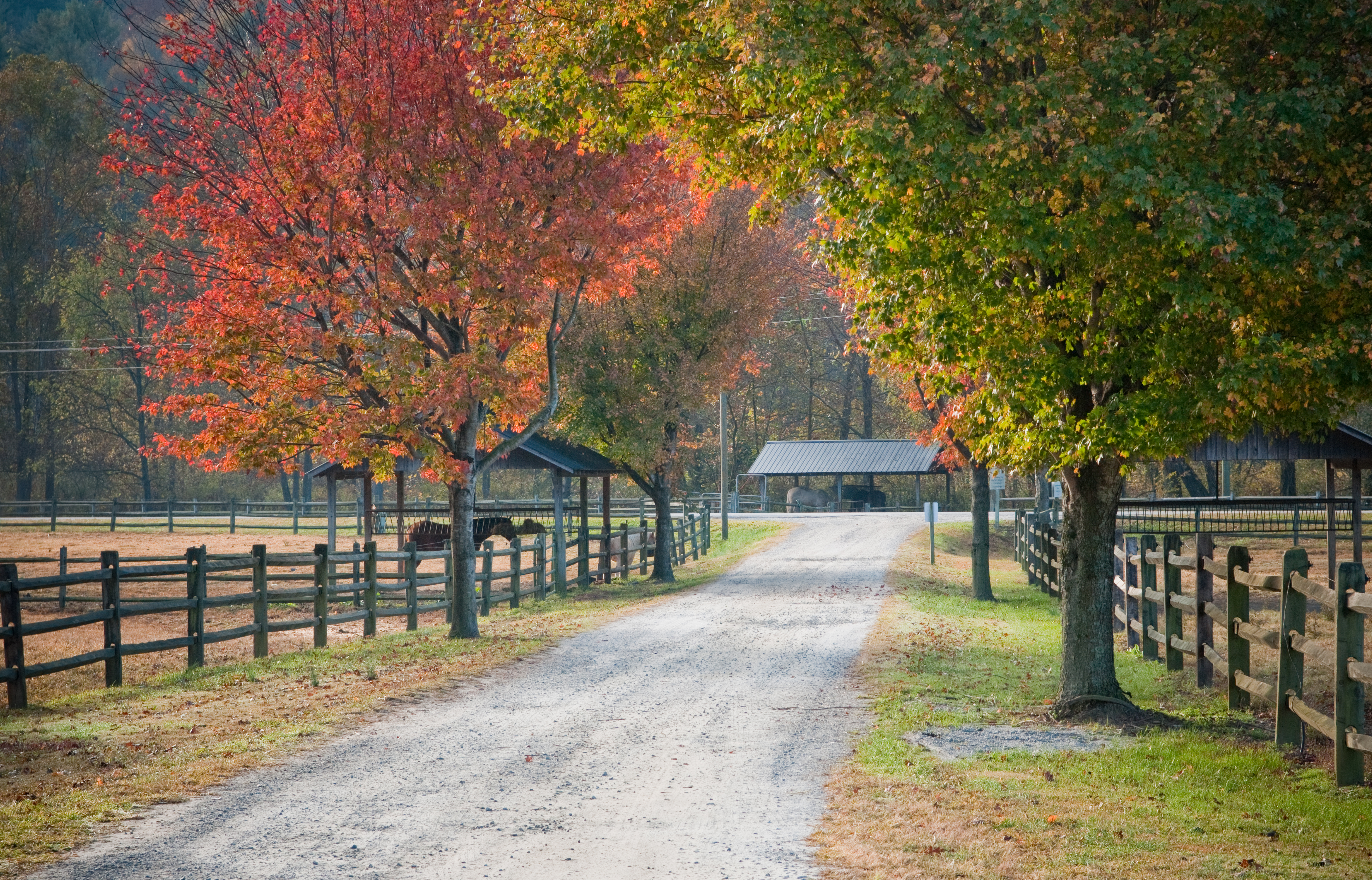 Leatherwood Fall Scene 2