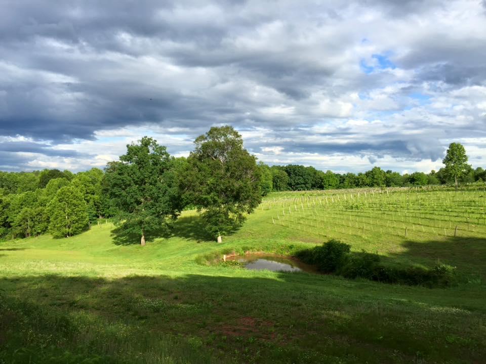 MenaRick Vineyard & Winery