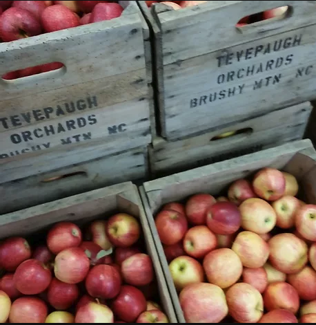 Tevepaugh Apples