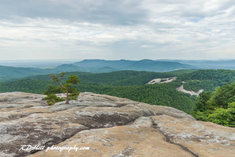 Stone Mountain Green Vista