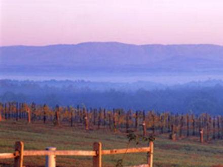 View from Raffaldini Vineyards