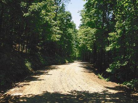 Wilkesboro Dirt Road