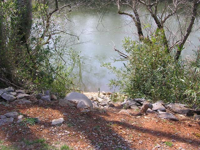 View from Yadkin River Greenway